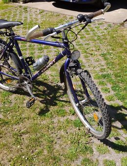 Giant Sierra Jugendmontainbike 26" mit Shimano 21 Gang - Erkrath (Fundort des Neanderthalers) Zentrum