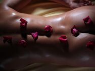 erotische öl Massage für Frau - Frankfurt (Main)