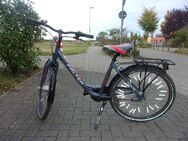 Kinder-Fahrrad, Marke Falter, 26er - Bonn Duisdorf