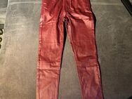 Lederhose Lederimitat Rot 36 neu mit Etikett - Leer (Ostfriesland)