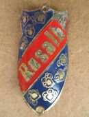 Fahrradteile Resalb Velo Steuerkopf CH Schild Emblem in 8604