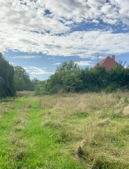 Landhaus nahe Neubrandenburg und Stavenhagen - Briggow