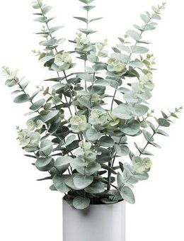 Kunstpflanze Eukalyptus, Creativ green, Höhe 66 cm, mit üppigem Blattwerk