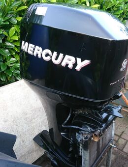 Mercury 60Ps EFI, 4 takt L Schaft BJ 2004 - Seevetal