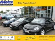 VW T6.1, Kasten EcoProfi, Jahr 2020 - Lichtenstein (Sachsen)