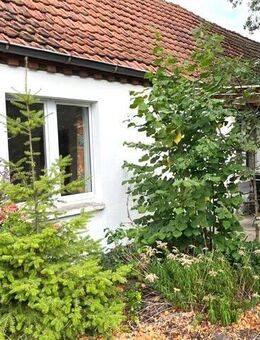 RSW-Immobilien - *Renovierungsbedürftiger 3 - Zim.- Bungalow mit Terrasse in Rahden/NRW zu vermieten!* - Rahden