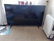Flachbildfernseher Telefunken 165 cm - Alfeld (Leine)