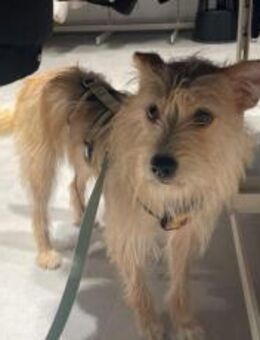 Celina sucht eine aktive Familie - München