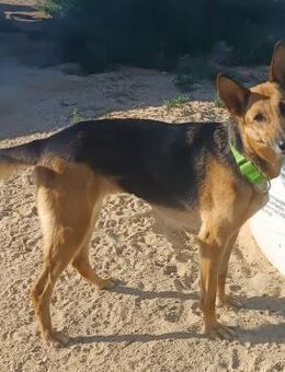 Kira was musste sie ertragen Alb - Ludwigshafen (Rhein)