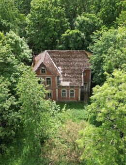Historisches Anwesen in Küstennähe - Villa von 1909 mit viel Land und Entwicklungspotenzial - Cuxhaven
