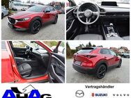 Mazda CX-30, 2.0 e M-Hybrid Homura Qi 3xPDC, Jahr 2024 - Schleusingen