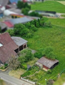 Bauernhaus mit 4.400 m² Grdst. in Randlage, Hobby-Pferdehaltung möglich - Stetten (Kalten Markt)