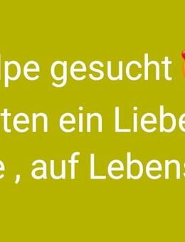 Suche Hundewelpe - Hückelhoven