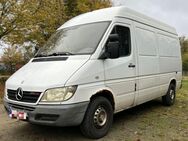 Er sucht aktive geile Männer mit Camper oder Sprinter für geile Dates - Eystrup