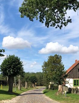 Charmantes Landhaus mit Charakter in Siedenbollentin - Gnevkow