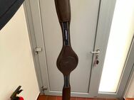 Passier Blu Sattelgurt 130 - Wunstorf