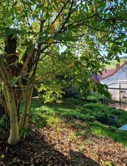 Gemütliches Häuschen mit Scheune und Garten - Lützelbach