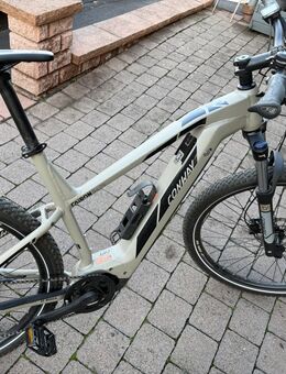 Conway Carion S 429 - Eschwege