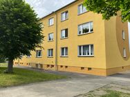 Helle 3 Raum Wohnung mit großzügigem Gemeinschaftsgarten - Langenweißbach