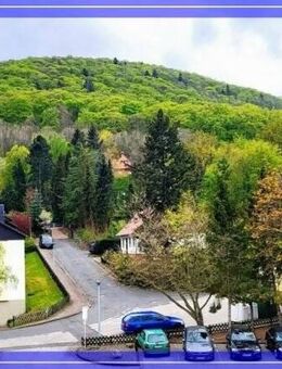 2-Zimmer Ferienwohnung mit Balkon und herrlichem Weitblick - Bad Harzburg