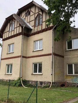 Entwicklungsfläche mit Altbestand nahe Neuruppin - Neuruppin