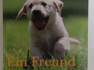 Ein Freund fürs Leben - Die 20 beliebtesten Hunderassen - Essen