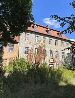 Denkmalobjekt für Bauträger - Wohnungsentwicklung im Schloss mit einzigartiger Parkanlage - Borna