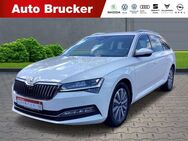 Skoda Superb Combi Style 2.0 TDI+Alufelgen+Navi+elektr.Sitze+LED - Marktredwitz