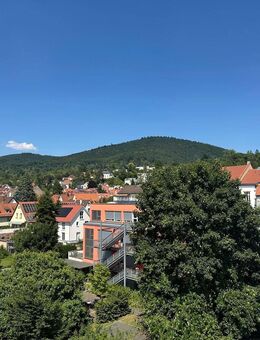 Schöne 3-Zi. Wohnung mit zwei Balkonen in HD-Handschuhsheim zu vermieten! - Heidelberg