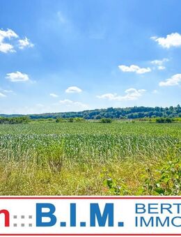 Herrlicher Blick | Direkt an der Natur | Bungalow mit Charme | Klasse Raumaufteilung - Gauting