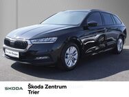 Skoda Octavia, 1.0 TSI Combi Ambition, Jahr 2021 - Trier