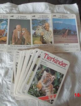 Quartett Kartenspiel Tierkinder Frankfurter Zoo Professor Grzimek, Comic Hucky und Yogi im Weltall, Schiffe, Flugzeuge 1960 1970 - Bottrop