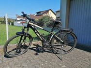 E Bike - Trek - Powerfly 4 Sport - Rahmengröße L - Kleinheubach