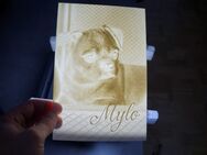 🌟 Individuelles 3D-Druck-Bild im Lithophane-Sti - Schlüchtern