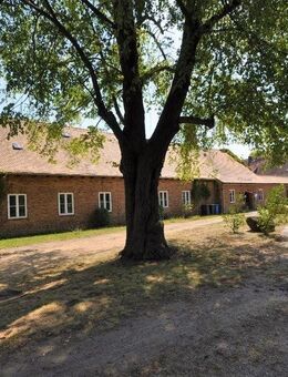 Ehemaliges Schulgebäude mit Wohnhaus in ruhiger Dorfinnenlage in Rohne - Schleife