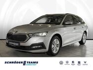 Skoda Octavia, 2.0 TDI Combi Ambition, Jahr 2020 - Bielefeld