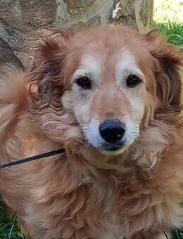 Giacco💙 14Jahre Gefängnis-Liebe gesucht - Bad Karlshafen