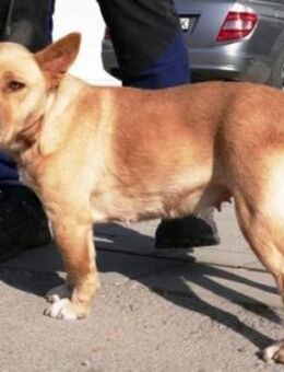 Tanieka ist sehr offen und so freundlich - Karben