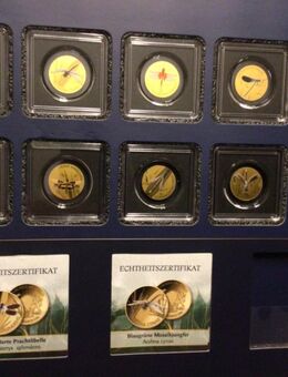 Komplett-Set: 10 x Goldmünzen „Libellen“ 999 Feingold Kollektion mit Zertifikaten - Neufahrn (Freising)