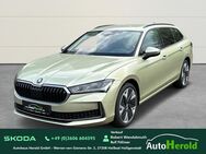 Skoda Superb, 2.0 TDI Combi 110kW Selection, Jahr 2024 - Heiligenstadt (Heilbad) Zentrum