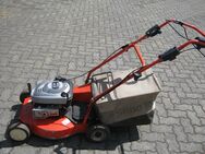 Rasenmäher Sabo 52 cm Antrieb - Neunkirchen-Seelscheid