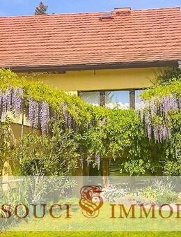 Naturwohnen mit allen Annhehmlichkeiten in der Seenlandschaft von Potsdam! - Potsdam