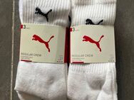 Hallo welche Sie  möchte mir ihre getragene Socken verkaufen - Wesel