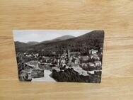 Ansichtskarte-AK-695-Badenweiler-Blick von der Ruine. - Nörvenich