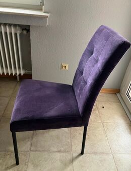 Lilafarbener Stuhl - Siegburg