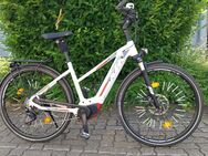 E-Bike KTM Cento 11 PLUS CX - Elsenfeld