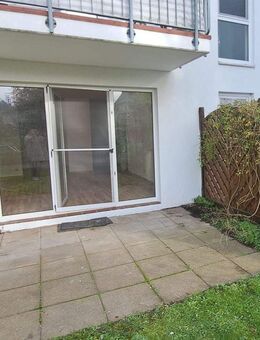 hell, grün, ruhig, sonnig, bei Schwerin - Pampow