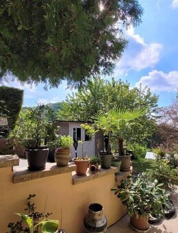 Traumhaus im Grünen - Einzigartiges Anwesen im Wald bei Weinheim-Sulzbach Ruhige Alleinlage im Naturgebiet! Eingebettet in unberührter Nat - Weinheim