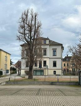Unter Denkmalschutz: Außergewöhnlich exklusive Lage für Büro/Praxis - Meißen - Meißen