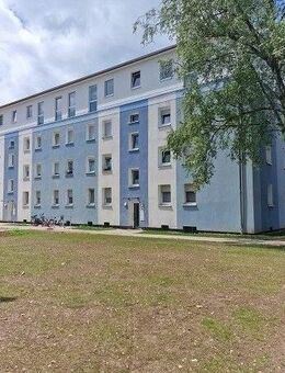 Miet mich - ansprechende 2-Zimmer-Wohnung mit Ausblick - Bonn